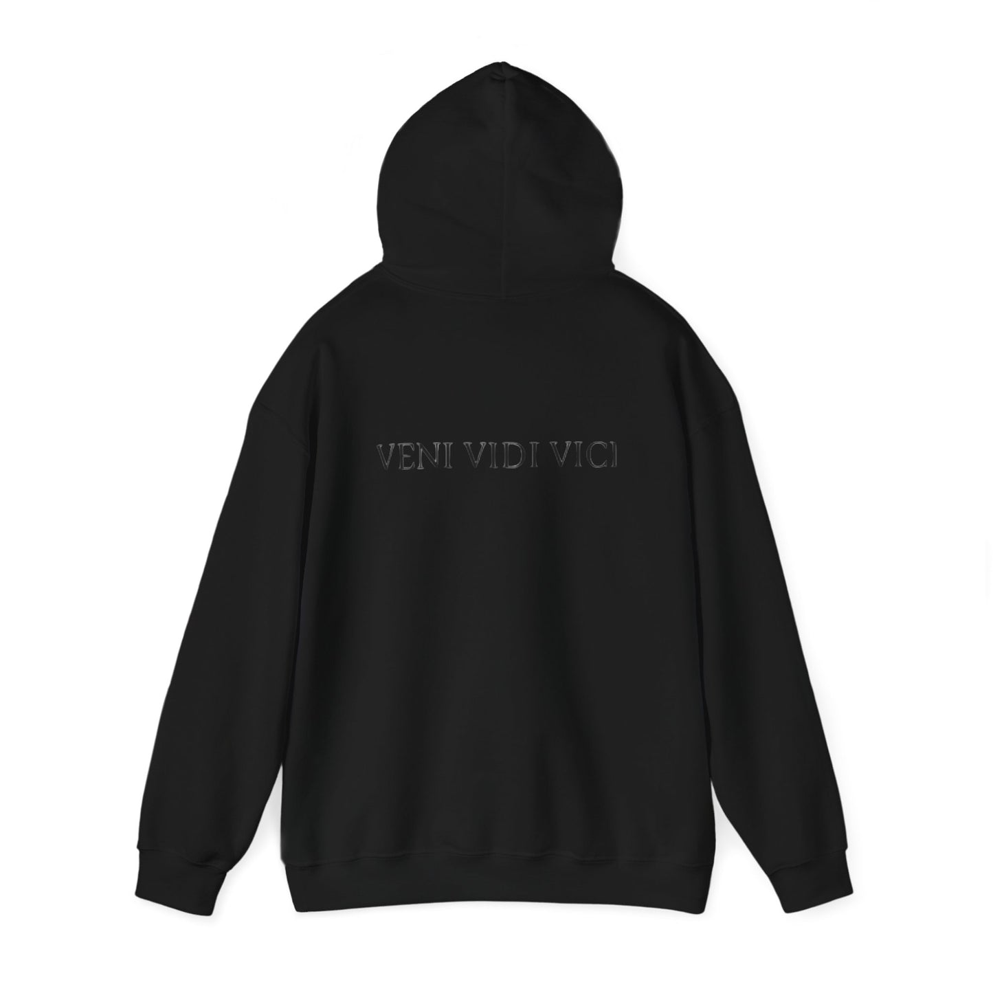 VENI VIDI VICI Hoodie