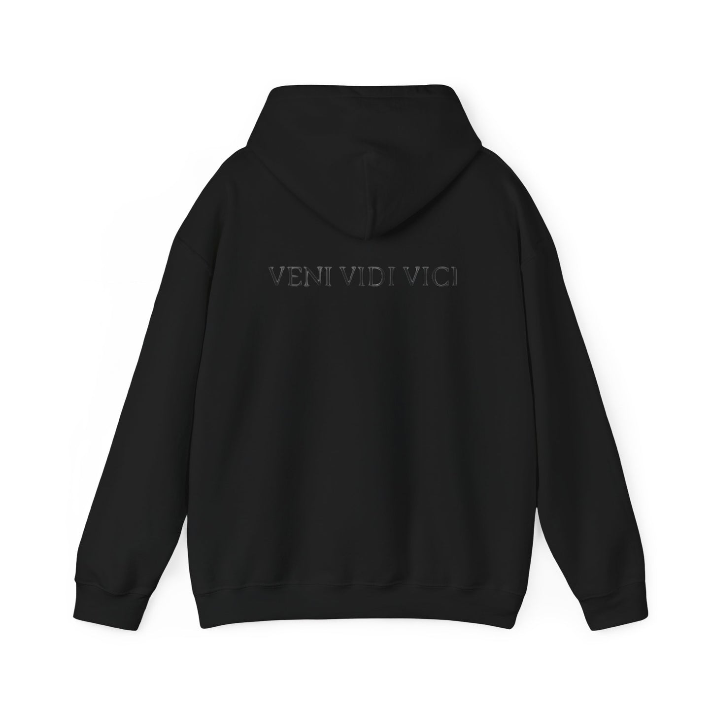 VENI VIDI VICI Hoodie