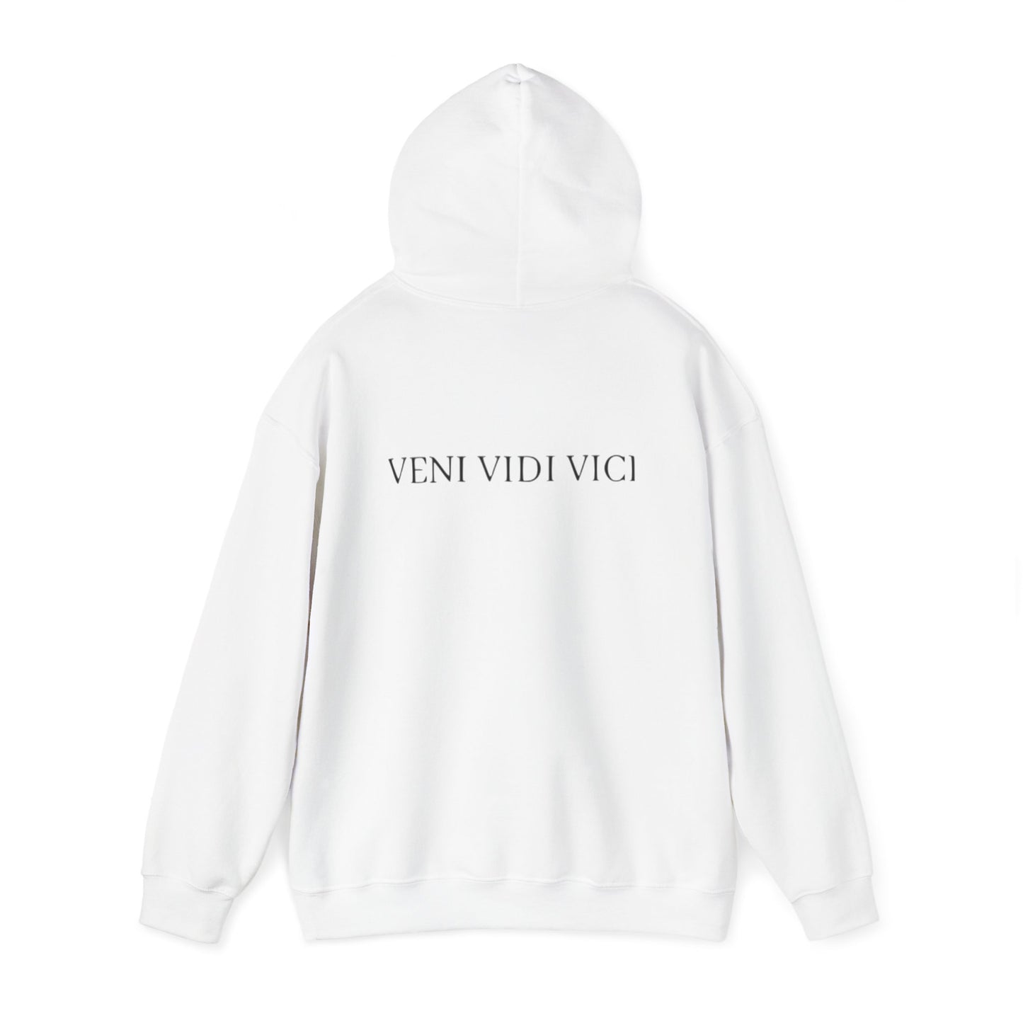 VENI VIDI VICI Hoodie