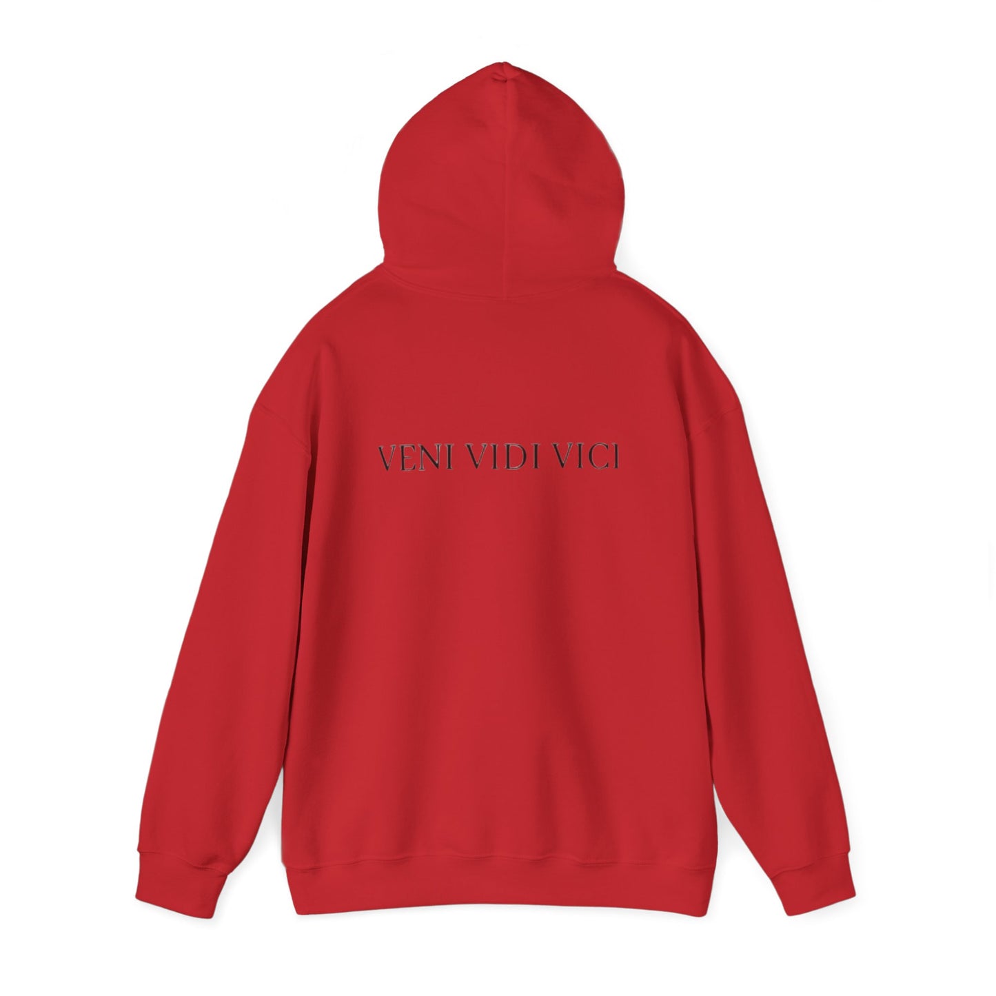 VENI VIDI VICI Hoodie